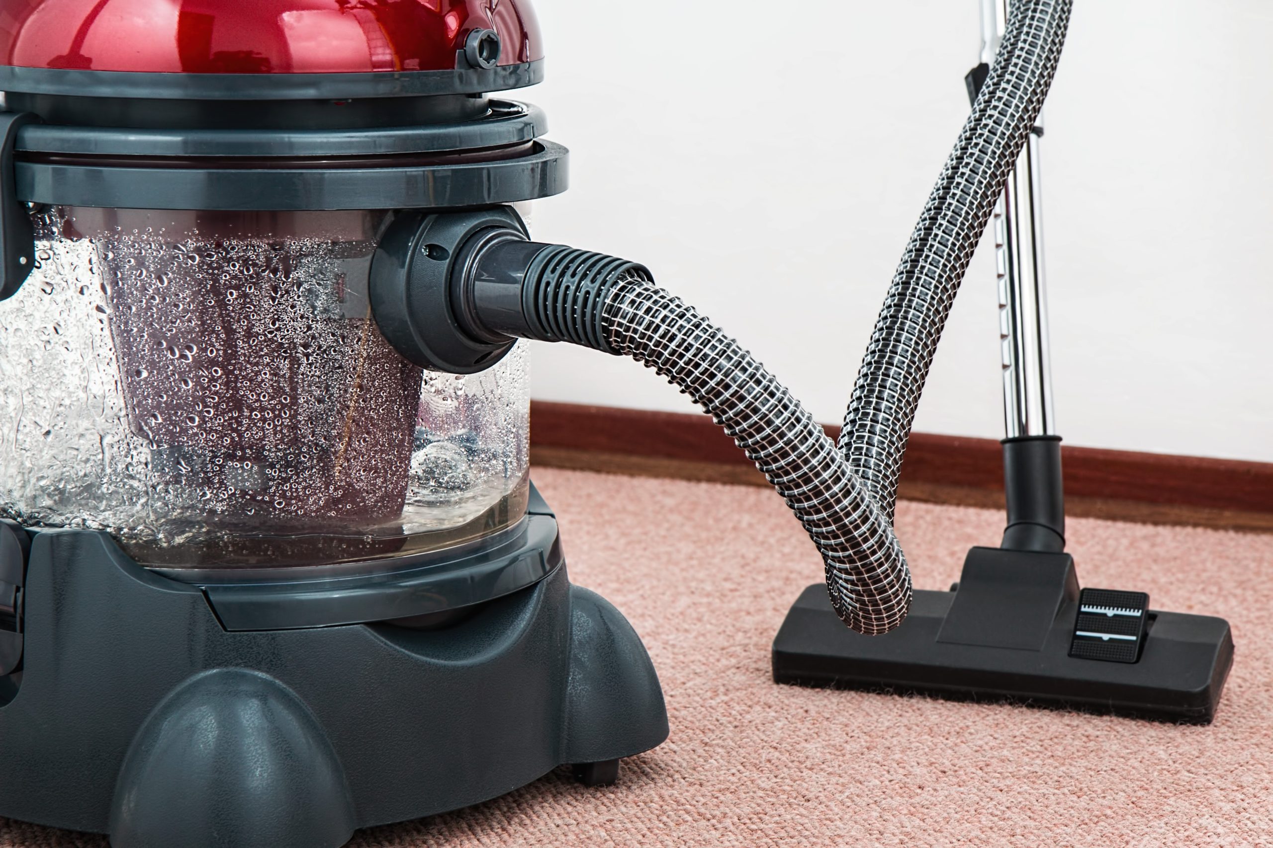 vacuum carpet